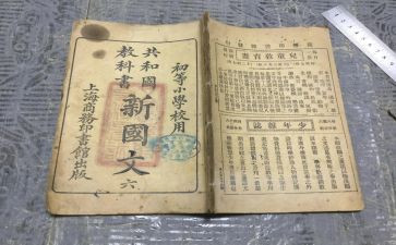 科教科年度个人总结7篇