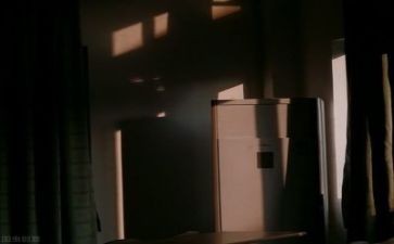 教师个人年度工作总结5篇