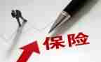 机保调研报告模板8篇