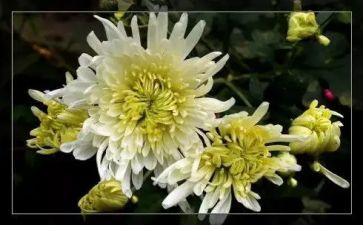 清明节祭奠先烈心得体会500字6篇
