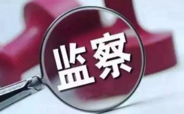 纪检个人年度总结6篇