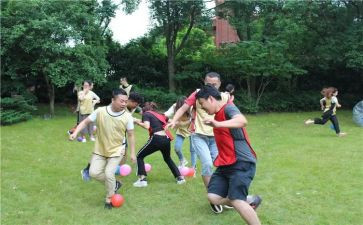 幼儿集体活动的总结8篇