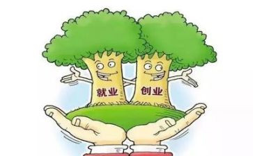 就业个人工作总结7篇