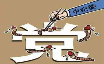 j纪委述职报告8篇