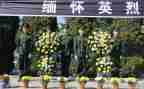 清明祭英烈演讲稿优质7篇