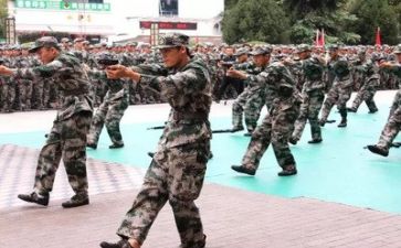 高校军训心得体会6篇