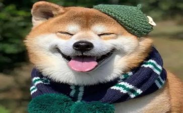 开心的一天300字作文6篇