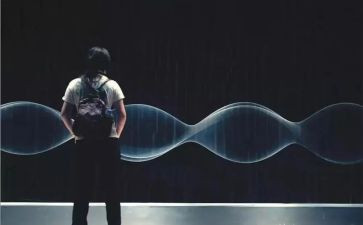 我看见的作文800字5篇