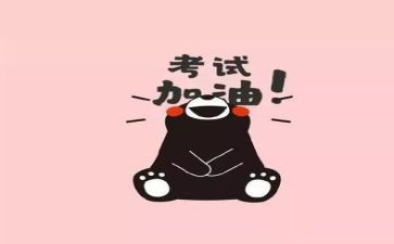 关于考试的作文800字8篇