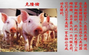 奇妙的克隆教案6篇