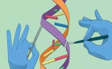 力科学教案最新6篇