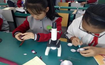 科学课调查报告5篇