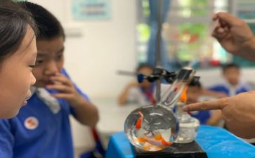 幼儿园小小班科学课教案优质7篇