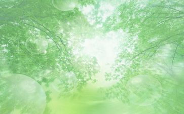 空气炮的教案7篇