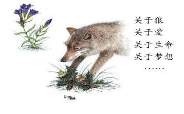 读狼王梦心得体会5篇