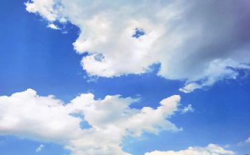 我爱蓝天的作文6篇