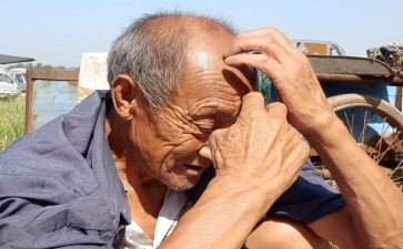 孤寡老人低保申请书8篇