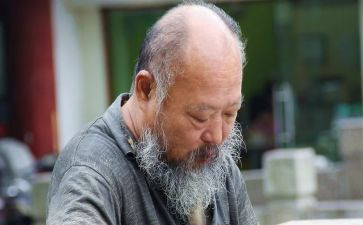 陪老人活动方案精选8篇