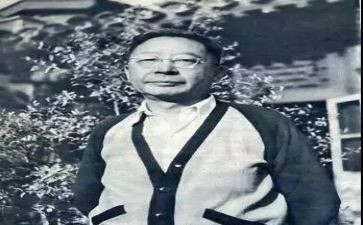 老舍的《兔》读后感6篇