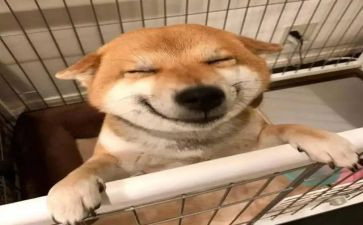读书乐,乐读书作文最新8篇