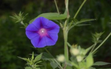 两个月工作心得7篇