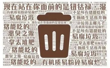 垃圾分类调查报告字5篇