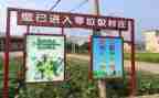 写垃圾分类的调查报告范文7篇