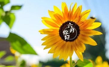 六月份幼儿小班工作总结7篇