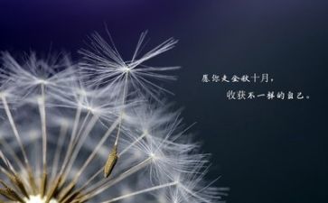 上半年励志工作总结范文7篇