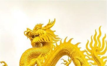 龙子湖调研报告推荐7篇