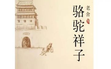 骆驼祥子微心得体会通用6篇