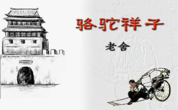 骆驼读后感400字初一读后感6篇