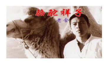 骆驼祥子微心得体会5篇