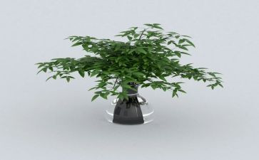 绿色环保的演讲稿5篇