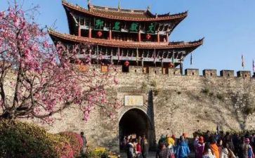 旅游管理专业毕业自我鉴定8篇