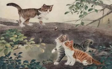 猫的读后感700字推荐6篇