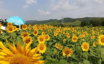 美容师个人年终总结7篇