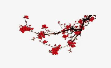 看梅花作文模板7篇