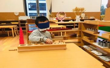 大班蒙氏数学教案优质8篇
