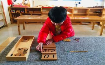 幼儿园蒙氏班级工作总结模板8篇
