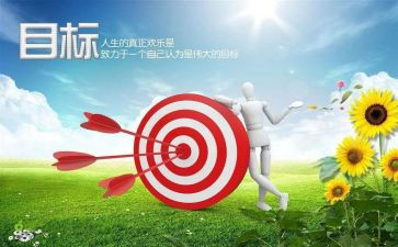 先有目标在有工作总结5篇