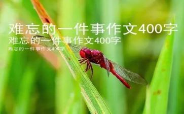作文我难忘的一件事350字优秀8篇
