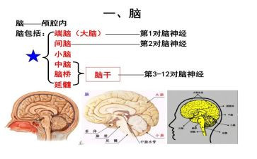 电脑员工作总结5篇