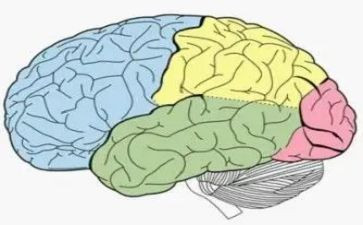 电脑的调查报告6篇