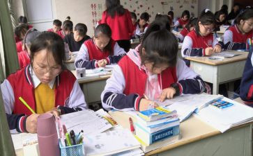 小学二年级学期总结推荐6篇