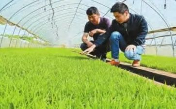 农技员工作总结个人总结5篇
