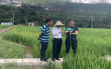 农科员年度个人总结8篇