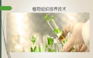 双培养心得体会8篇