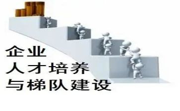 双培养心得体会优质7篇