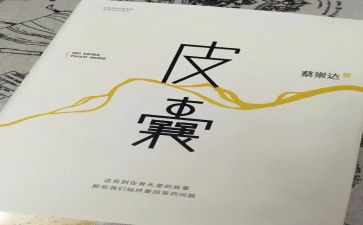 皮囊书读后感7篇